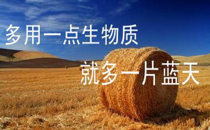 合理利用生物質(zhì)能是實(shí)現(xiàn)“碳中和”的重要舉措